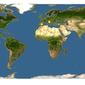 Discover Life: Point Map of Cryptopone ochracea