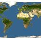 Discover Life: Point Map of Myrmica schencki